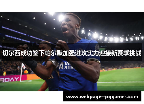 切尔西成功签下帕尔默加强进攻实力迎接新赛季挑战