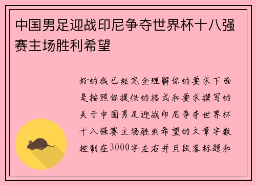 中国男足迎战印尼争夺世界杯十八强赛主场胜利希望